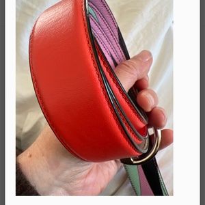Pucci belt